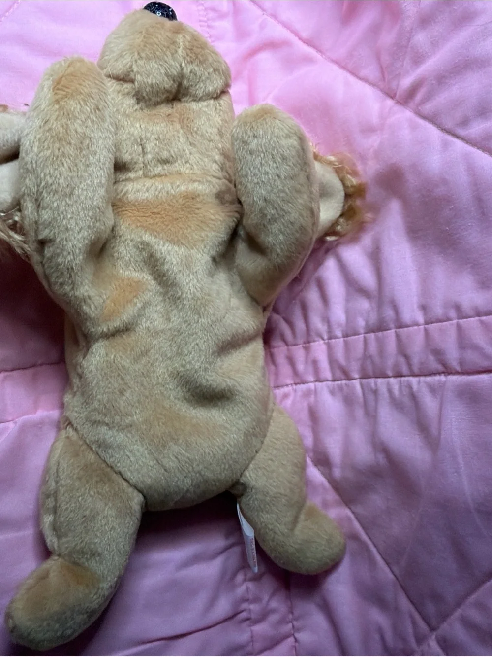 Ty The Beanie Babies Collection Spunky Dog Plush Toy Vintage 1997